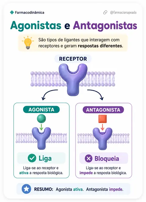 Agonistas e Antagonistas